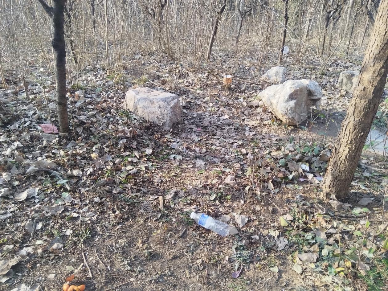 713305f9cba59c05160ad571da7796ef